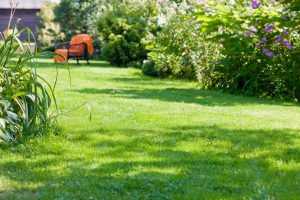 travaux jardin et paysage Jallans